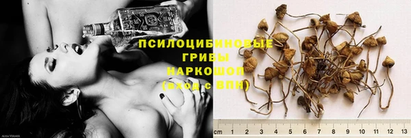 герыч Инта