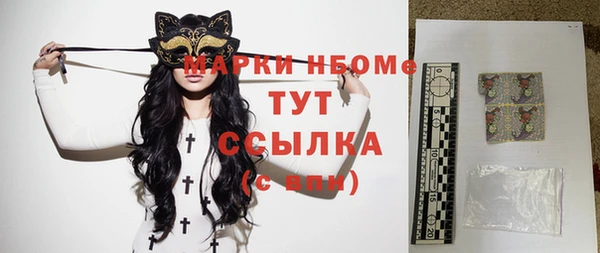 гашик Инсар