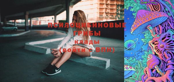 гашик Инсар