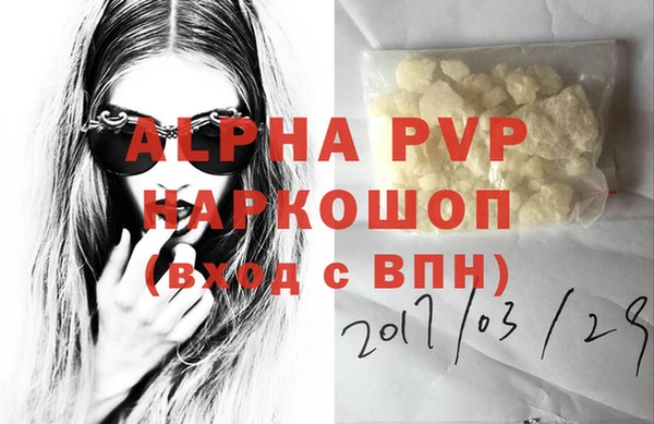 гашик Инсар