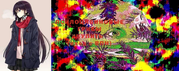 прущие грибы Каменка