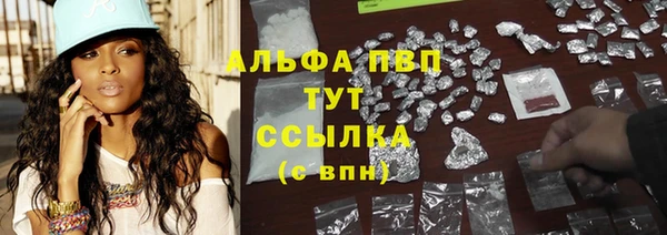 ECSTASY Иннополис