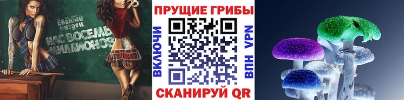 Галлюциногенные грибы мухоморы  Купить где  Серафимович 